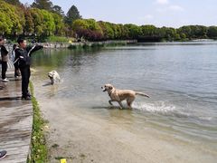 -美兰湖景区