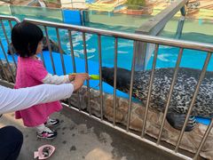 -泉城欧乐堡海洋极地世界