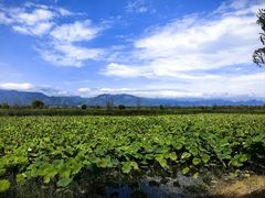 -野鸭湖国家湿地公园