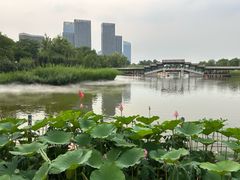-西海子公园
