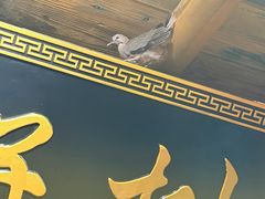 -柿子树炭烤羊腿(金台路店)