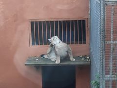 -青藏高原野生动物园