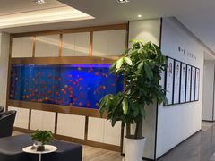 -牙博士口腔品牌连锁(杨浦店)