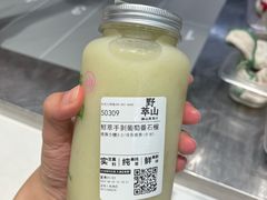 -野萃山·潮汕厚果汁(十亩地店)