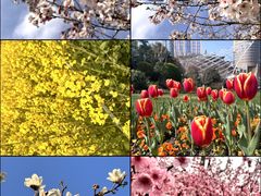 -花溪风景区