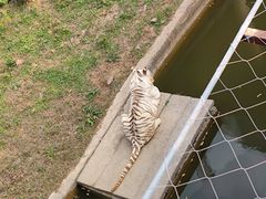 -无锡动物园·太湖欢乐园