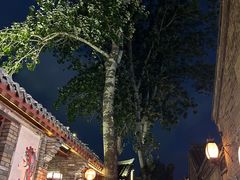 -三杯赤運·中式小酒馆(所城里店)