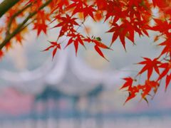 -九龙潭景区