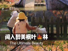 -田野绿世界