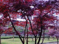 宿舍区-河南财经政法大学(郑东校区)