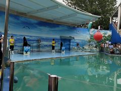 -西安秦岭野生动物园