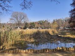 -青龙山国家森林公园