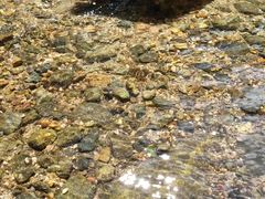 -碓臼峪自然风景区