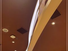 -巴奴毛肚火锅(大剧院店)