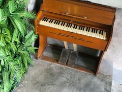 -腾爱熊猫咖啡生活馆(老东门店)