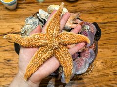 -滨海小渔村·海肠捞饭·鲅鱼水饺·特色老火鱼丸汤(华田店)