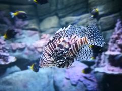 -成都浩海立方海洋公园