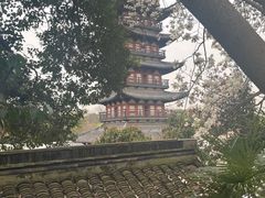 -上海方塔园