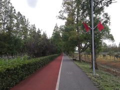 -上海长兴岛郊野公园