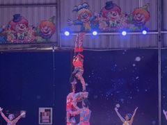 -深圳野生动物园