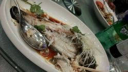 android_upload_pic-西安威斯汀大酒店·宴会厅