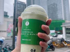 -茉酸奶(春熙路店)