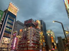-秋叶原电器街
