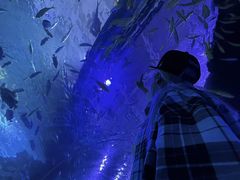 -多彩贵州城极地海洋世界