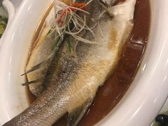 清蒸海鲈鱼-庐州太太(CBD店)
