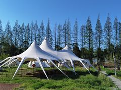 -前小桔亲子创意农场·草莓采摘·露营烧烤