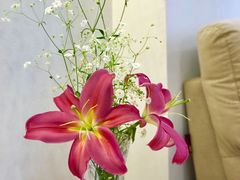 -上海哈尔滨食品厂(淮海中路店)