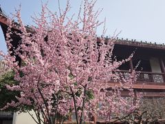 -堤角公园