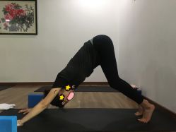 -兴亚瑜伽20年老馆
