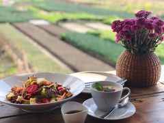 -翠田Green Field Kitchen