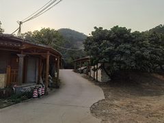 -全汁全味驴庄(凤岗店)