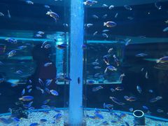 -海合安成都极地海洋公园
