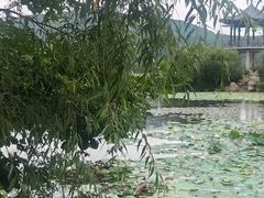 -珲春防川景区