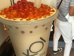 -Koi thé(水坑尾街店)