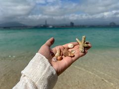 -三亚蜈支洲岛旅游区