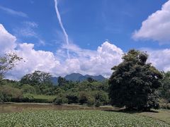 -中国科学院西双版纳热带植物园