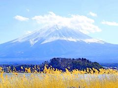 -富士山吉田線五合目