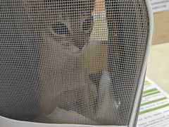 -天宠宠物医院24小时·急重症诊疗中心·全科·腔镜特色(和平分院)