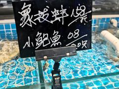 -小海丁
