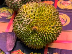 -油麻地果栏