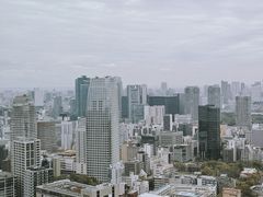 -六本木新城展望台(东京城市景观)