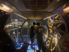 -影汇之星8字形摩天轮