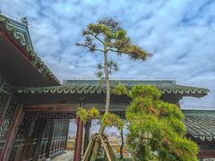 -广富林郊野公园