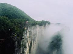 -蝶舞清江·恩施云顶景区(黄鹤峰林)