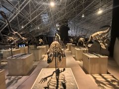 -世界恐龙谷景区