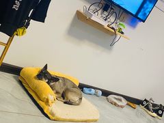-晨汐石苑·清真菜农家院